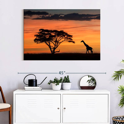 Alvord Masai Mara Giraffe At Sunset