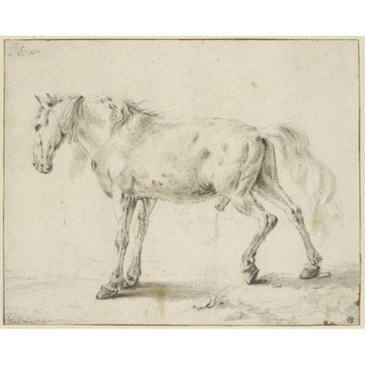 Peeing horse