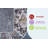 Area Rug Synthetic Fiber Stain Resistant Non-Shedding Traditional Multi Color Medium Pile 5' x 7'