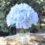 Arrangement de hortensia en vase-1487296954