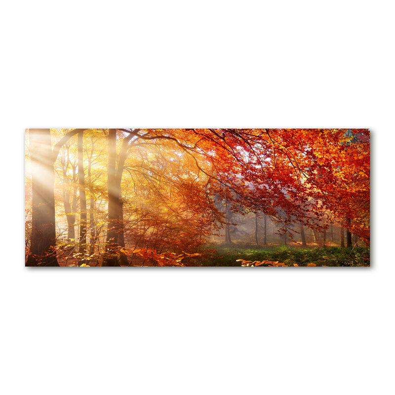 Autumnal Forest - Wrapped Canvas Print