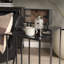Fraley Iron End Table