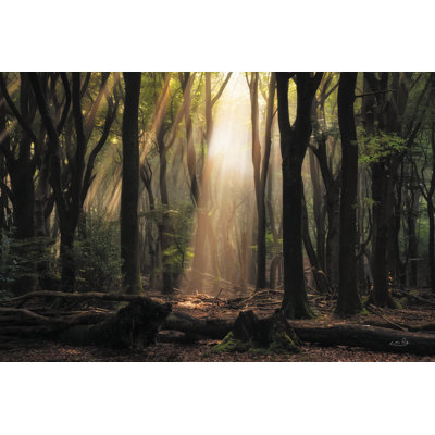 «Beautifully Messed Up On Canvas» par Martin Podt, reproduction