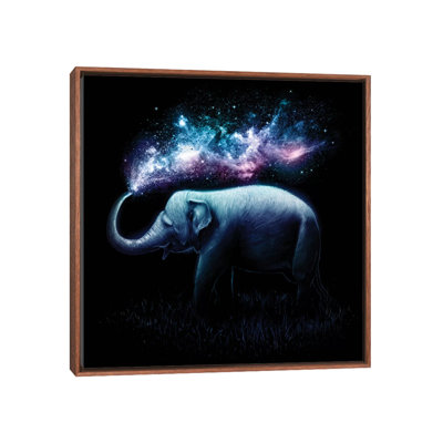«Elephant Splash» - Impression sur papier avec cadre flottant