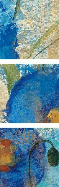 «Sunkissed Blue and White Flowers II» par Silvia Vassileva, reproduction d'art, Cadre noir, H 56 po x l 24 po x P 1 po