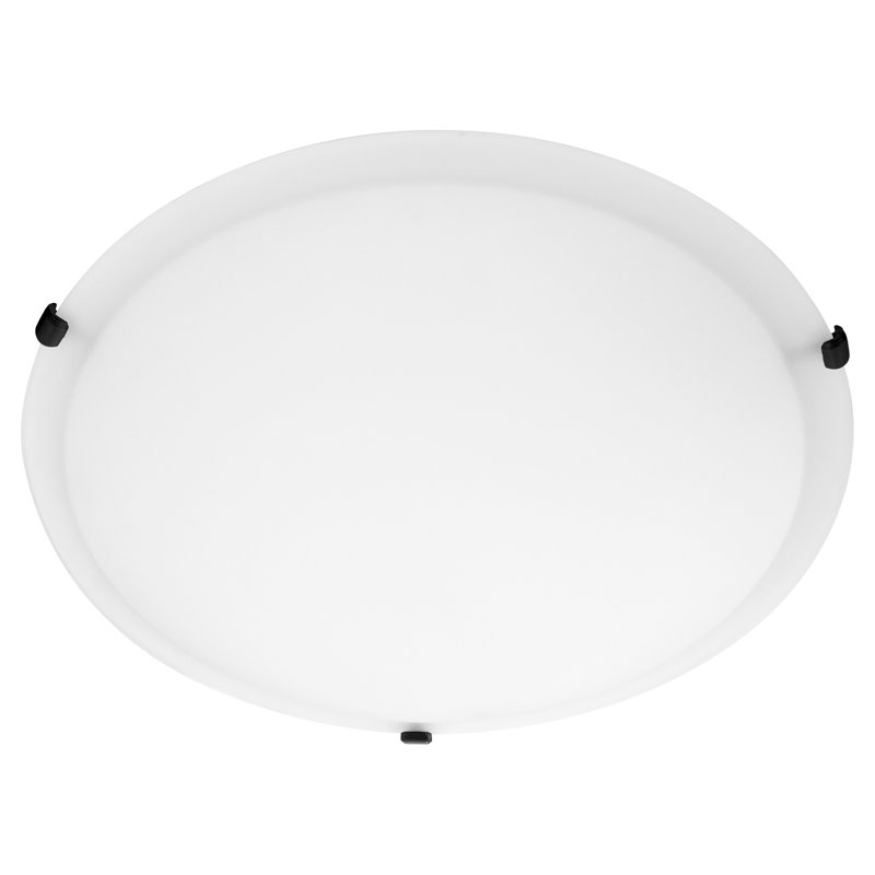 20" SATIN Baumgarner Ceiling Mount | Matte Black