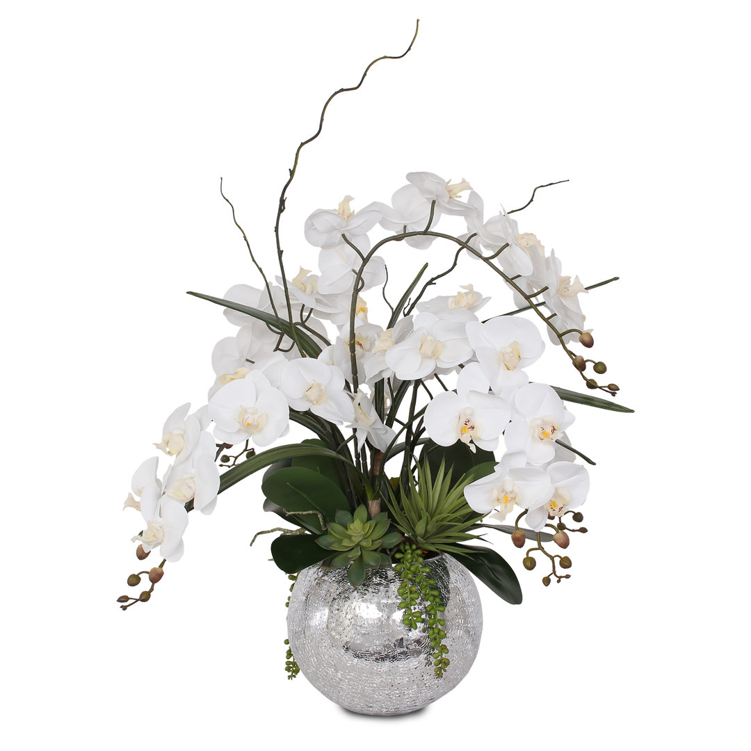 Orchid Arrangement in Vase Jenny Silks