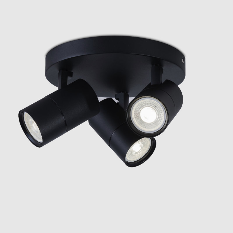 Auralia Spotlight, Black