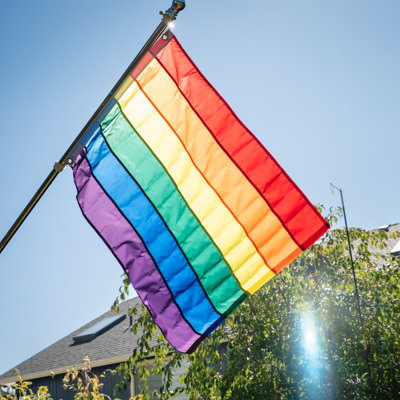 Drapeau arc-en-ciel à œillets