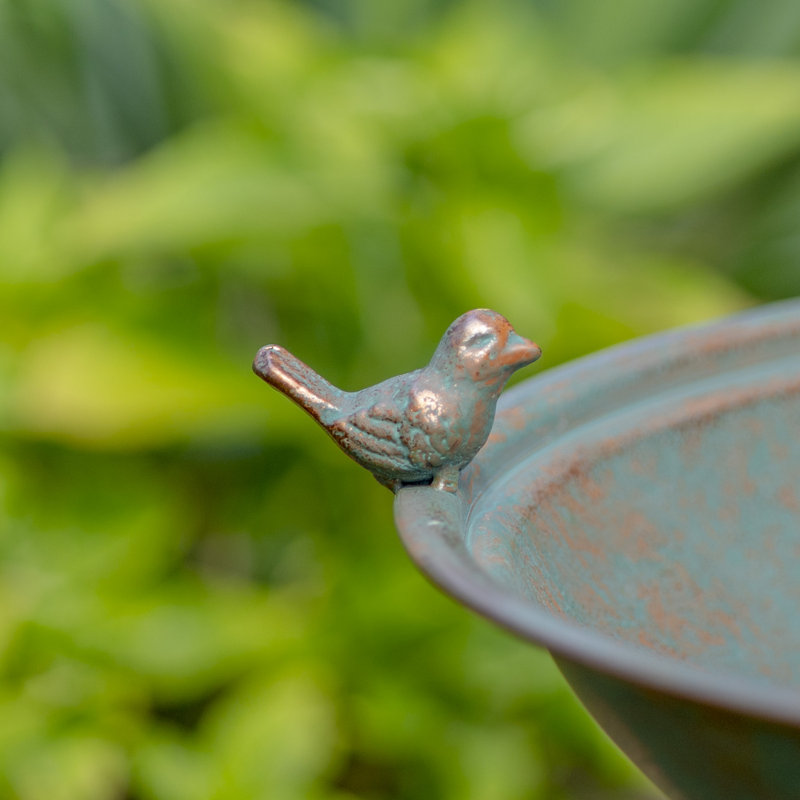 Bain d'oiseaux à piédestal Bobra, Bronze