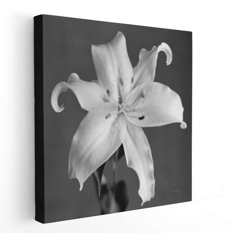Orient Lily I, noir et blanc, reproduction d'art sur toile, H 12 po x l 12 po