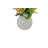 No Power Source Essential Oil Diffusers