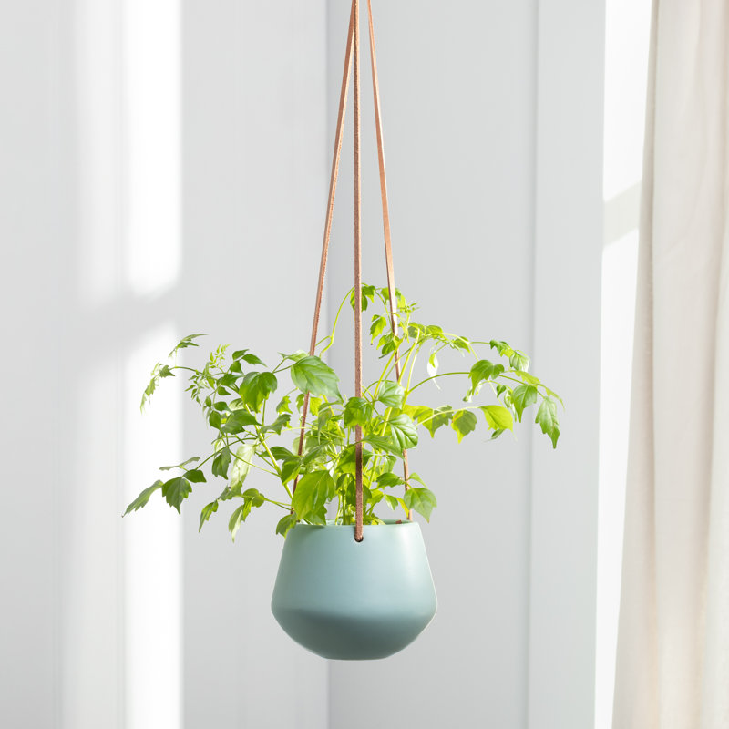 Nonce Handmade Ceramic Hanging Planter, Teal, 4" H x 5" W x 5" D