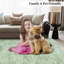 Abstract Washable Area Rug-1480552437-1480552438