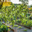 160cm H 162cm L 105cm W Metal Arbour in Black
