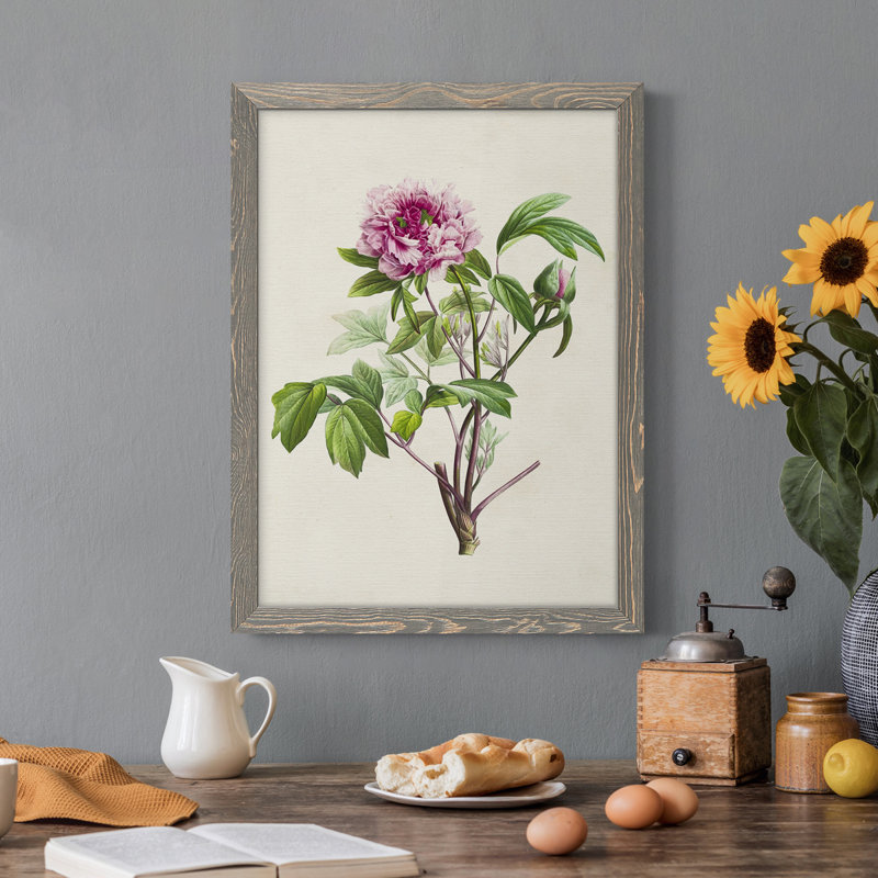 «Pretty Pink Botanicals V», reproduction sur toile encadrée, Cadre gris, H 20 po x l 24 po x P 1 po
