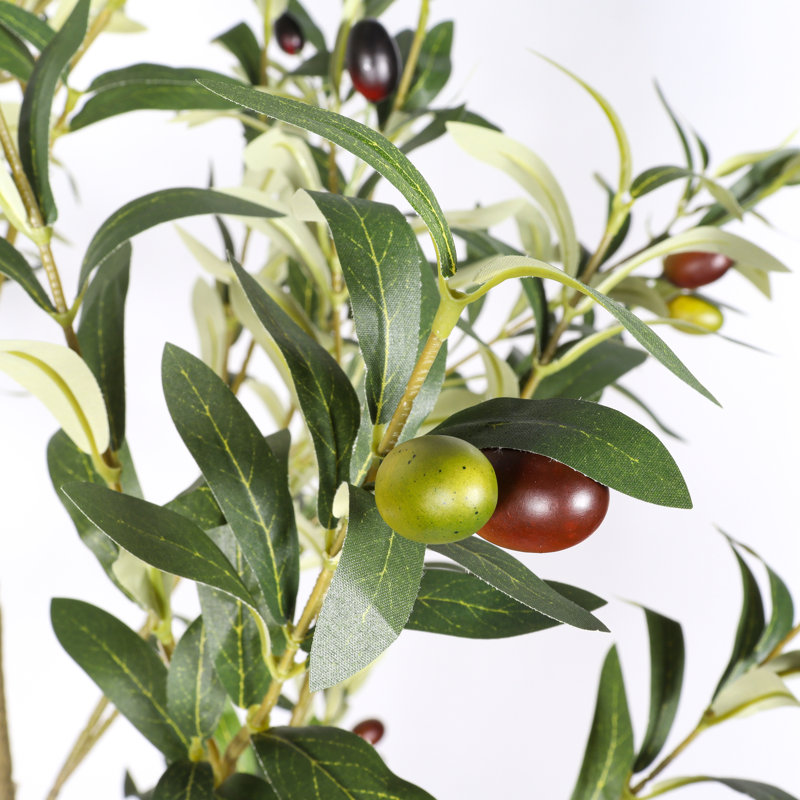 60" Artificial Olive Tree In Black Plastic Pot, 1Pc/Set