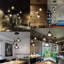 Raelyn 3 - Light Black Pendant