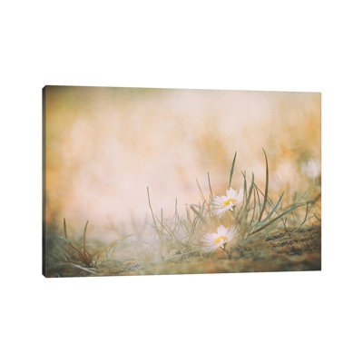 Jana Ajlec - Wrapped Canvas Print