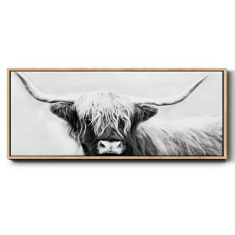 Highland Longhorn - toile encadrée
