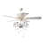 Ridgway 19'' Ceiling Fan with Light Kit