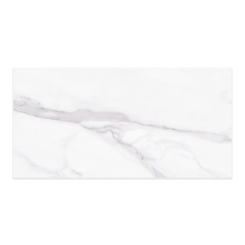 Harbor Matte 12x24 Porcelain Floor & Wall Tile (11.63 Sq. Ft./Case), Silver