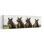 «Laughing Foals Playful Contemporary Horse Nature», art mural