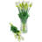 Tulip Arrangement