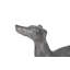 Animals Prancing Dog Statue