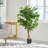 70.9'' Faux Ficus Tree in Pot-378567687
