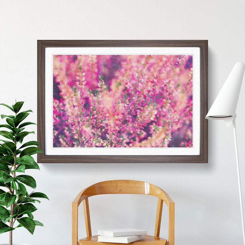 Pink Heather - Framed Print, 27cm H x 36cm W x 2cm D, Walnut Framed