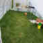 Customer photo 3 of 4