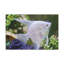 No Frame Print on Canvas-878853668