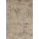 Amour Hand Knotted Area Rug in Tan