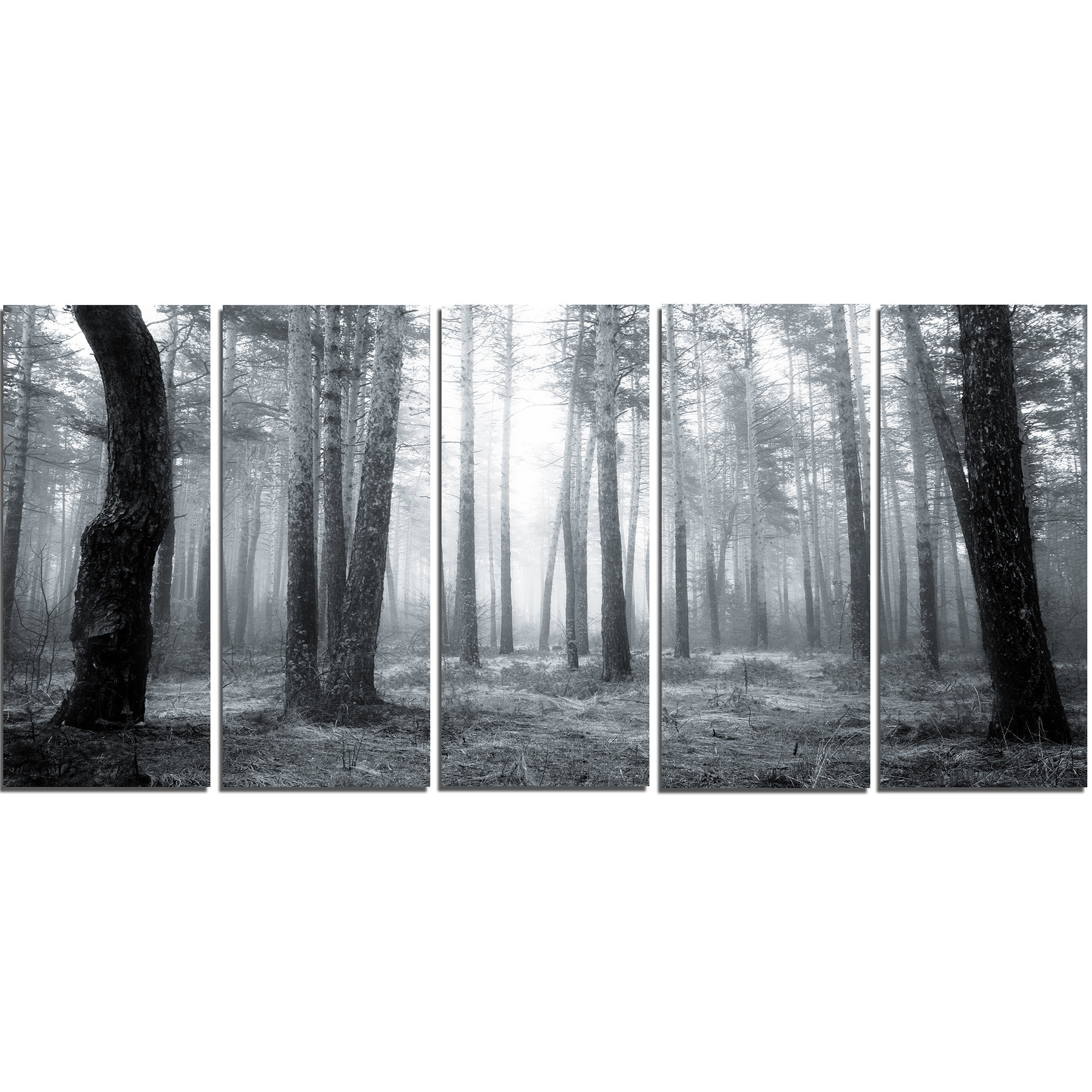 Black & White Foggy Forest Canvas Wal...
