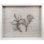 Sealife Print
