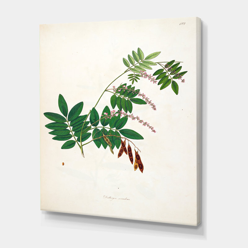 Botanique rétro - peinture sur toile, H 32 po x l 24 po x P 1 po, Toile tendue