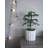 Ceramic Pot Planter-1639888142