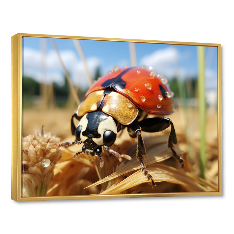 Curious Ladybug Meadows - art de coccinelle, Cadre flottant doré, H 34 po x l 44 po x P 1,5 po