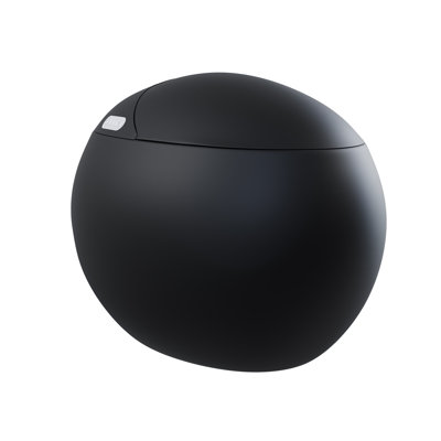Toilette simple une pièce Plaisir Smart 1,28 GPF en noir mat