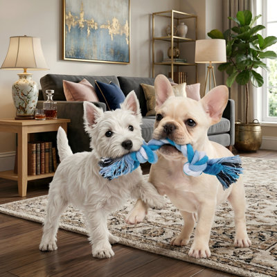 Paquet de 12 jouets multicolores pour chien en corde, jouets pour chiot en coton, jouets de dentition à mâcher pour petits et moyens chiens