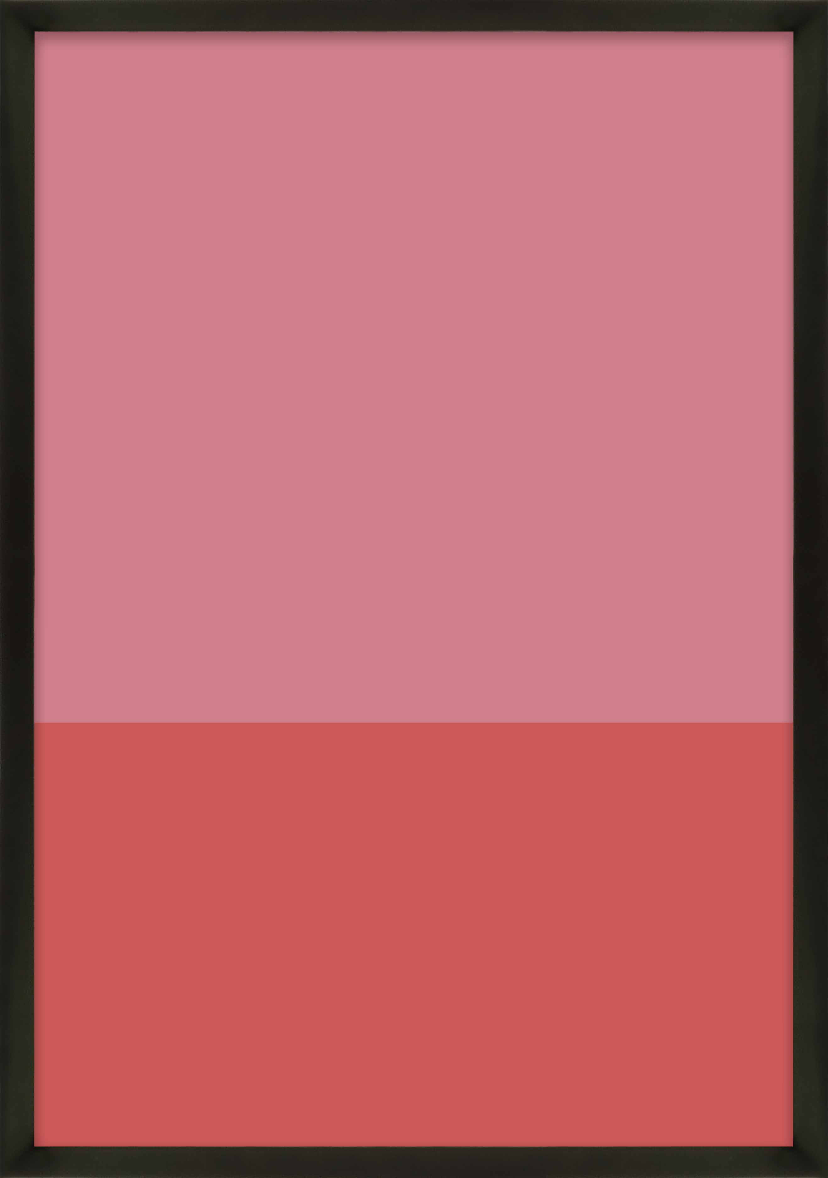 AllModern Color Studies Color Studies 3 by Romina Gadler - Single ...