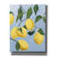 Toile épique «Lemon Tree Light» par Pamela Munger-106173699