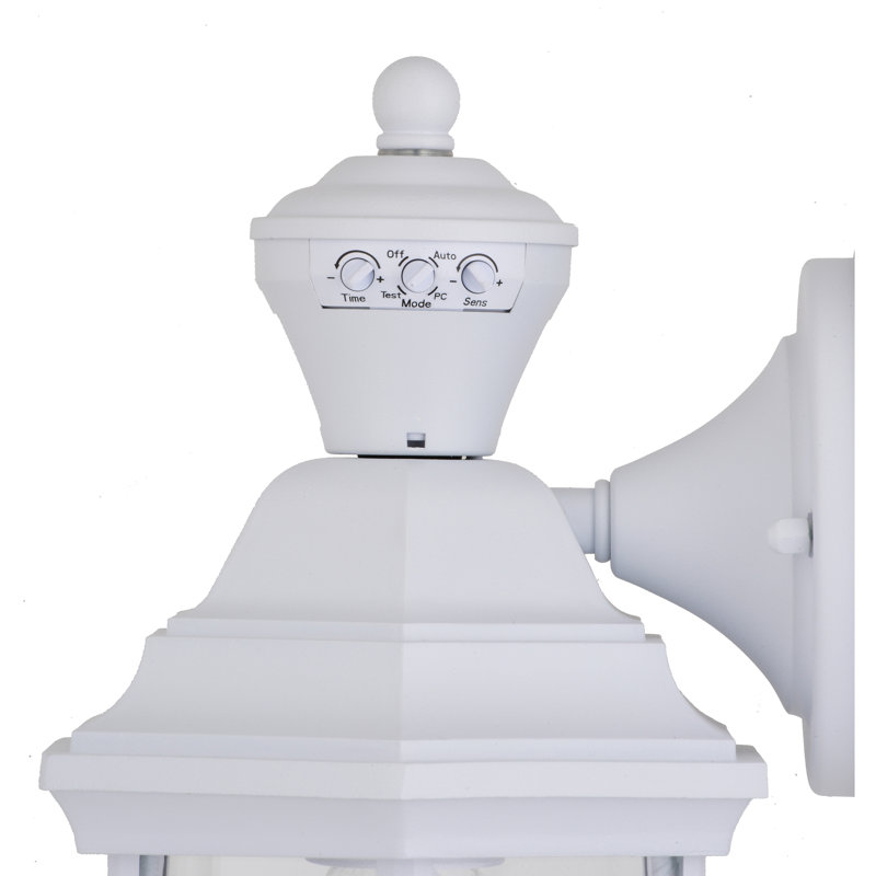 Delaenie Aluminum Wall Light, White 