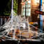 Halloween Decorative Accent