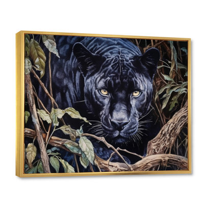 " Panther'S Gaze II "