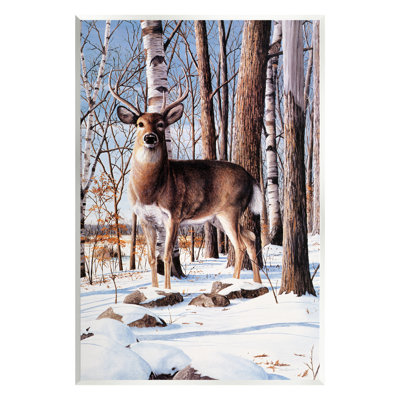 «Stupell Industries Deer in Snowy Forest Landscape», art mural sur toile par Kevin Daniel