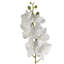 Plastic, Silk Artificial Arrangement