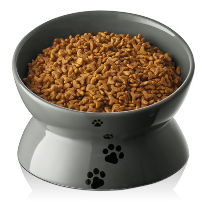 Cat Food Bowl
