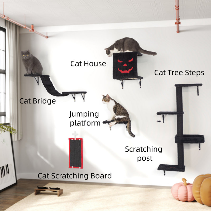 Ensemble d'arbre à chat cinq pièces